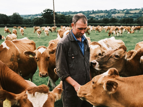 Estate Dairy preview