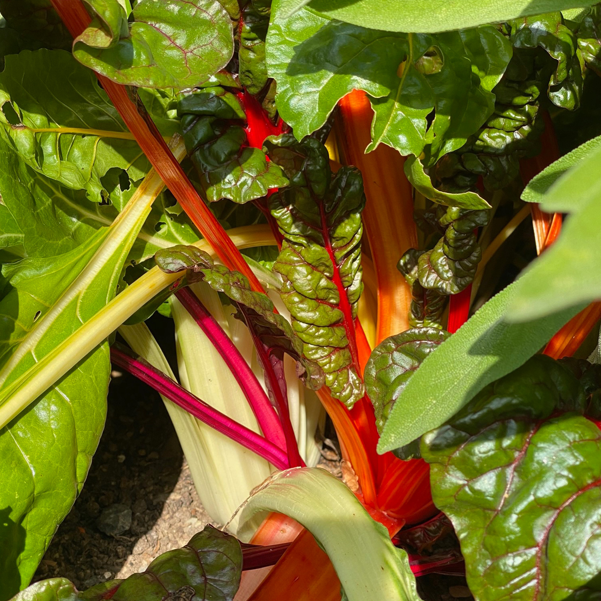 Produce image